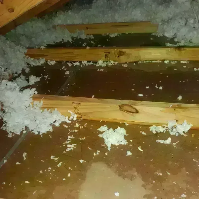 Attic Water Damage in Minorca, LA